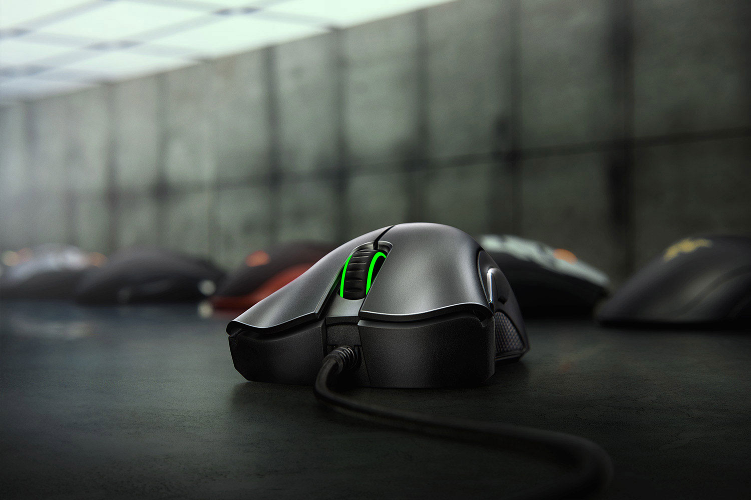 razer-deathadder-essential-gallery01-gaming-mouse